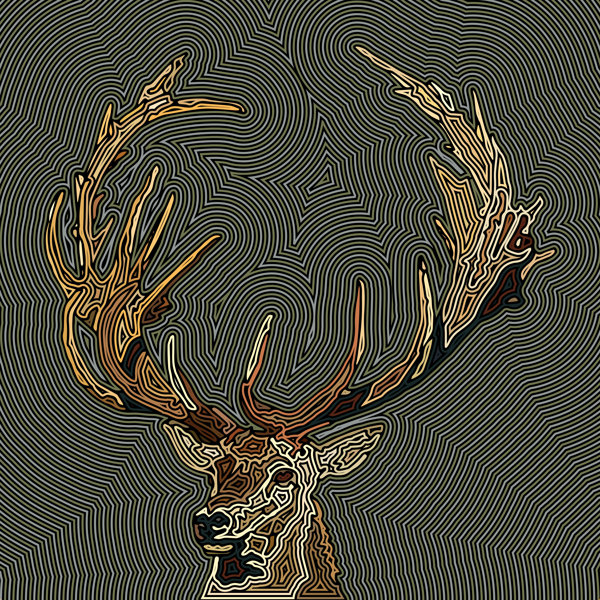 Loon Peak® John Turner Jr Inconspicuous B On Canvas by John Turner Jr